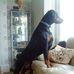 Sheryl Lloyd - Facebook
