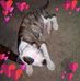 Sheryl Madison - Facebook