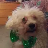 Cheryl Malcolm - @cheryl.malcolm - TikTok