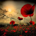 Sheryl Malcolm - Facebook