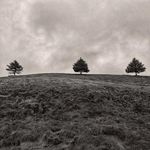Cheryl Malone - @cherylmalonephotography - Instagram