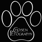 Sheryl Marshall - @chosenpetography - Instagram