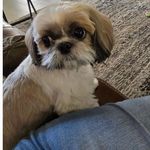 Sheryl Marshall - @sherylmarshall28 - Instagram
