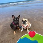 Sheryl Marshall - @mylodarcy - Instagram