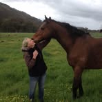Sheryl Marshall - Facebook