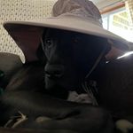 Cheryl McDaniel - @cheryl.mcdaniel.737 - Instagram