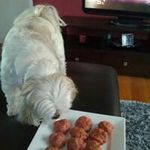 Cheryl McKenzie - @cheryl_mckenzie - Instagram