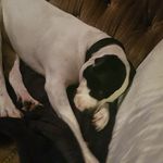 Sheryl Mckenzie - @sheryl.mckenzie.3348 - Instagram