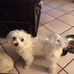 Sheryl Mitchell - @mitchell.sheryl - Instagram