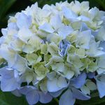 Sheryl Nicholson - @crafty_play_ - Instagram