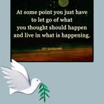 Sheryl Okeefe - @okeefesheryl - Instagram
