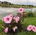 Cheryl Christine Opperman - Facebook