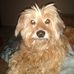 Cheryl Parrish - Facebook