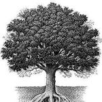 Cheryl Patton - Genealogy - @digginyourancestors - Instagram