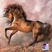 Sheryl Patton - Facebook