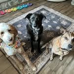 Sheryl Jones Pierce - @sheridpierce - Instagram
