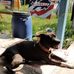 Cheryl Powers - Facebook