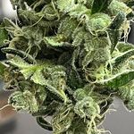 Sheryl L Powers - @sherylpowers420 - Instagram