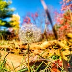 Sheryl D. Ramsay - @sheryldr13 - Instagram