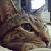 Sheryl Richards - Facebook