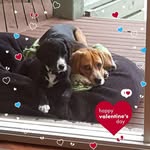 Cheryl Ritchie - @cheryl.ritchie.184 - Instagram