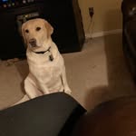 Cheryl Ritchie - @cheryl.ritchie.188 - Instagram