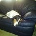 Cheryl Sell - Facebook