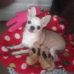 Sheryl Sellers - @sherylsellers64 - Instagram