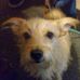 Sheryl Shaffer - Facebook