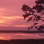Sheryl Shaffer - @timedreamer62 - Instagram