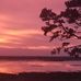 Sheryl Shaffer - Facebook
