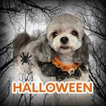 Sheryl Shaffer - @sherylshaffer296 - Instagram