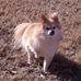 Sheryl Shaffer - Facebook