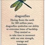 Sheryl Sharp - Facebook