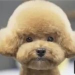 Sheryl Sharp - @hilarious666 - Instagram