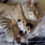 Cheryl Skipper - @cwaldee - Instagram