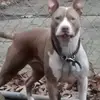Sheryl Snyder - @sheryl.snyder6 - TikTok