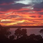Sheryl Snyder - @snyder_sheryl - Instagram
