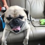 Sheryl Snyder - @sherylsnyder2 - Instagram