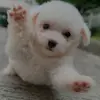 Sheryl Spence - @sheryl.spence - TikTok
