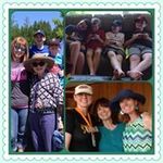Sheryl Steiner - @sherylsteiner - Instagram
