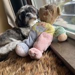 Sheryl Sullivan Schmidt - @tssully - Instagram