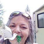 Sheryl Thomson - @sherylthomson176 - Instagram