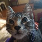 Sheryl Warren - @sheryl.warren.351 - Instagram