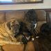 Cheryl Weber Wilhelm - Facebook