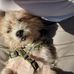 Cheryl Wilhelm - Facebook