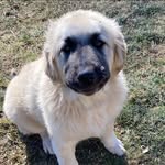 Cheryl Wilhelm - @10cherylwil - Instagram