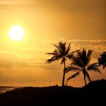 Sheryl Wilhelm - @sheryl.wilhelm.16 - Instagram