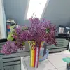 sherylwilhelm443 - @sherylwilhelm443 - TikTok