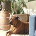 Sheryl Wise - Facebook